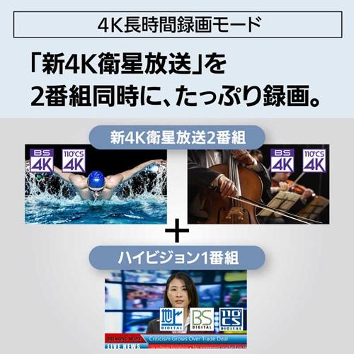 ブルーレイディスクレコーダー 3TB 4Kチューナー内蔵ディーガ パナソニック DMR-4T305_9