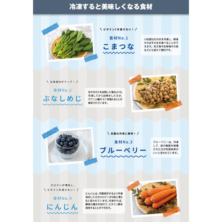冷凍庫 小型 上開き 家庭用 103L チェストタイプ 直冷式 長期 冷凍庫 小型 上開き 家庭用 103L チェストタイプ 直冷式 長期