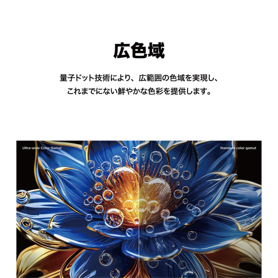 TCL テレビ 32型 液晶 32S5K 量子ドット Google TV ネットフリックス