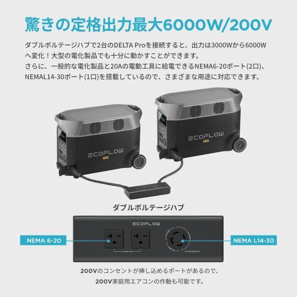 ECOFLOW DELTA Pro ダブルボルテージハブ EcoFlow DELTAPROPR-LV : B 