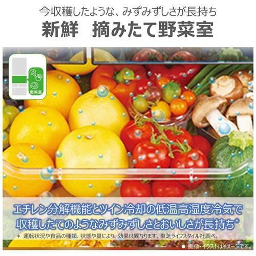 TOSHIBA（東芝） 東芝冷蔵庫 6ドア 462L 観音開き VEGETA GR-Y460FH(EC