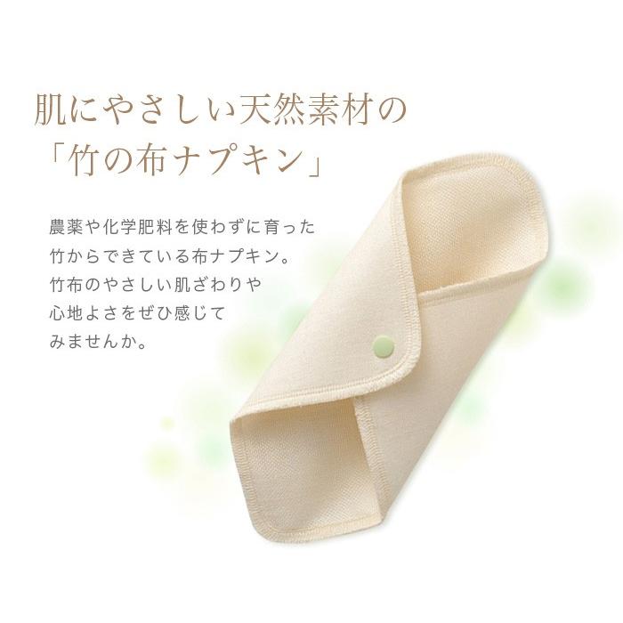 TAKEFU 竹布・布ナプキン ホルダー3枚セット、メール便使用