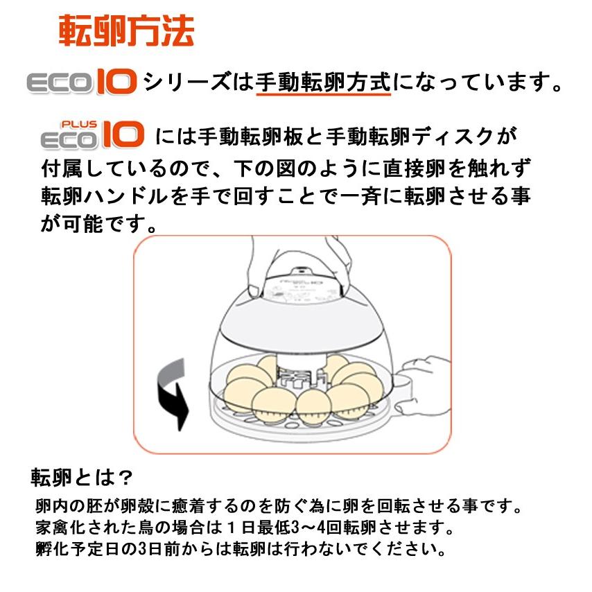 Rcomエコプラス10 手動転卵孵卵器 : eバード - 通販 - Yahoo Rcomエコプラス10 手動転卵孵卵器 : eバード - 通販 - Yahoo
