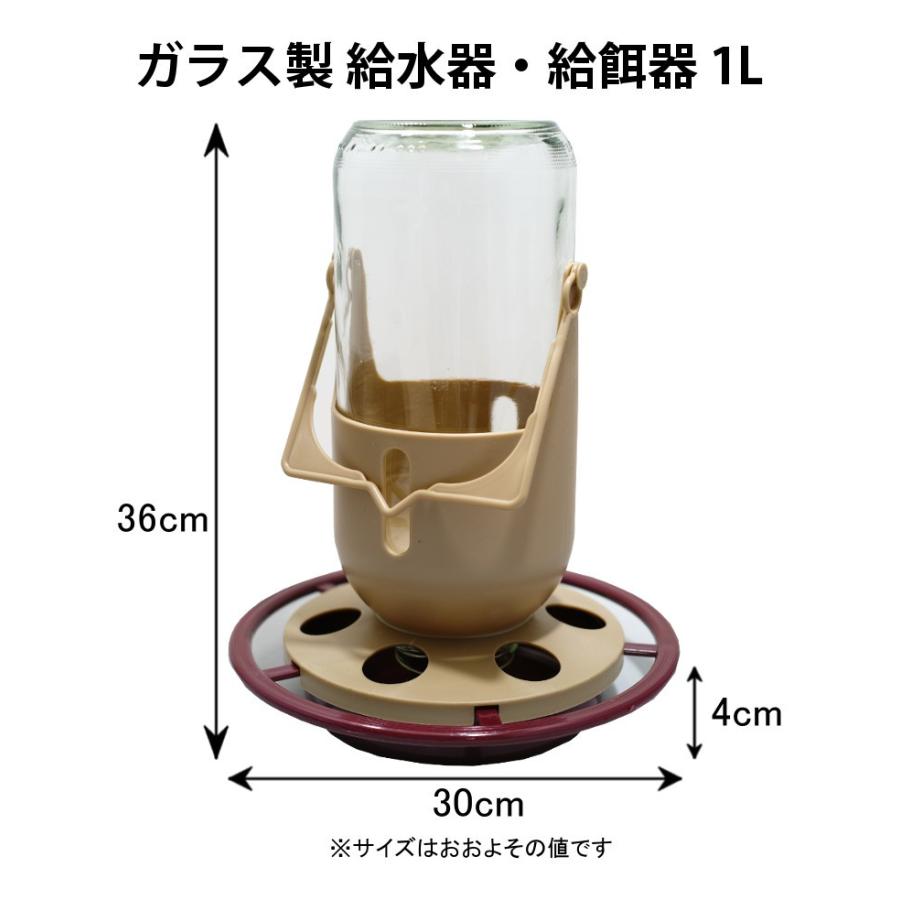 小動物用品 小動物 孵卵器 床材 餌 給水器 保温電球 セット