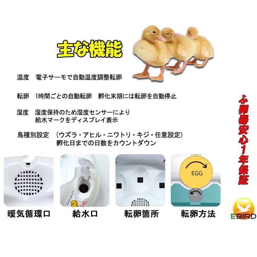 リトルママ 小型自動孵卵器(ふ卵器・ふか機) : eバード - 通販 リトルママ 小型自動孵卵器(ふ卵器・ふか機) : eバード - 通販