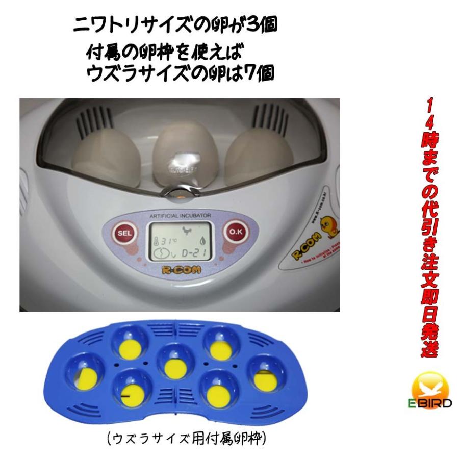 リトルママ 小型自動孵卵器(ふ卵器・ふ卵機) : eバード - 通販 リトルママ 小型自動孵卵器(ふ卵器・ふ卵機) : eバード - 通販