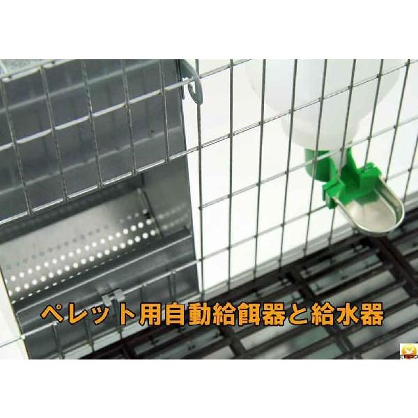 とっても便利 繁殖用 うさぎ用ケージ 2ペア用 : eバード - 通販