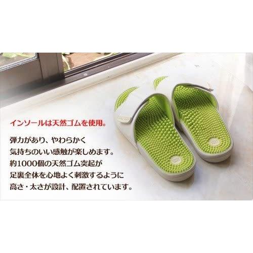 代引き手数料無料 リトルアース ボディポップ Body Pop 1301 ブラック 24cm 新作モデル Theculturewire Com