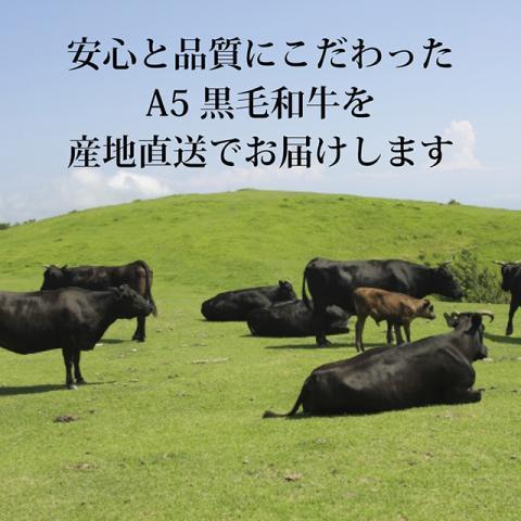 カタログギフト 出産内祝い 内祝い 結婚祝い お返し 肉 黒毛和牛 牛肉 和牛 肩ロース モモ カルビ ギフト 黒毛和牛ギフト 人気  BAコース 2万円｜beliem｜11