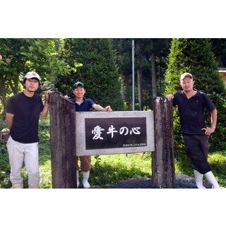 飛騨牛 ステーキ シャトーブリアン 1,200g 1.2kg 100g×12枚 6〜12人前 フィレステーキ お肉 ヒレ 肉 結婚祝い 内祝い A5 A4の画像