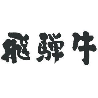 飛騨牛 ステーキ シャトーブリアン 1,300g 1.3kg 100g×13枚 7〜13人前 フィレステーキ お肉 ヒレ 肉 結婚祝い 出産 内祝い A5 A4の画像