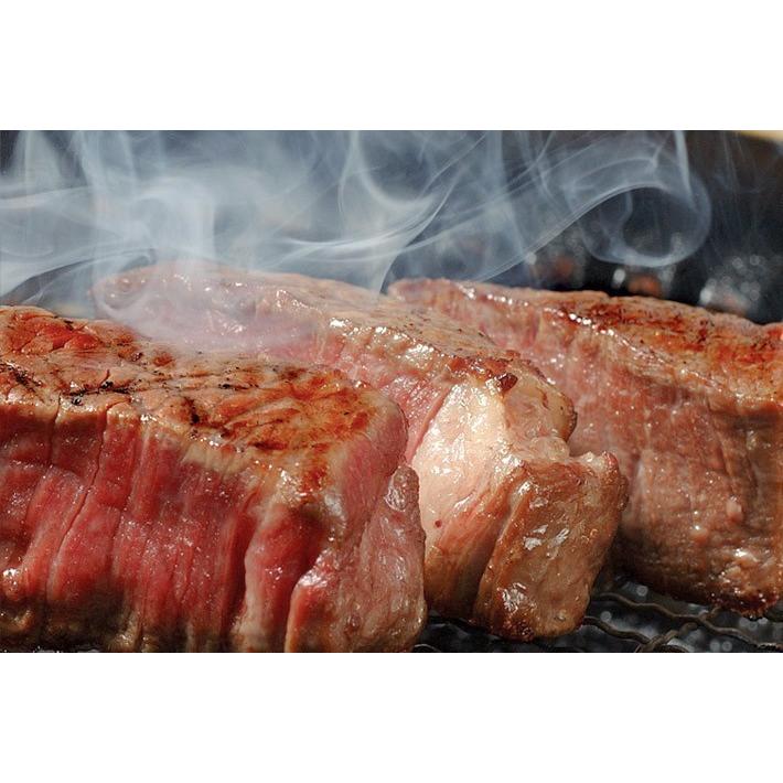 飛騨牛 シャトーブリアン 1,800g 1.8kg 100g×18枚 10〜18人前 フィレステーキ お肉 肉 結婚祝い 出産 内祝い A5 A4 ヒレの画像