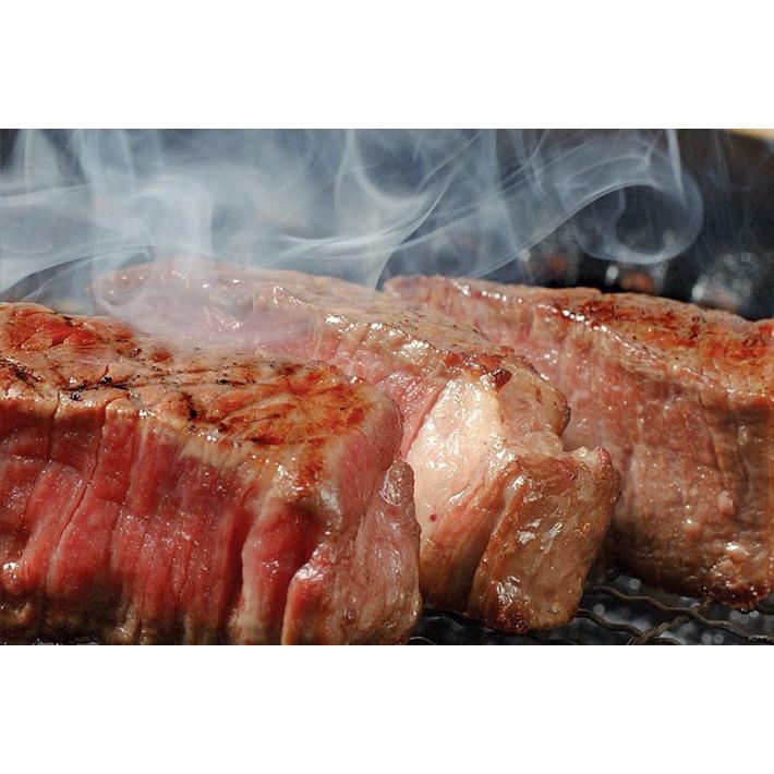 飛騨牛 ステーキ シャトーブリアン 700g 100g×7枚 4〜7人前 フィレステーキ お肉 肉 牛肉 和牛 国産 結婚祝い 出産 内祝い A5 A4の画像