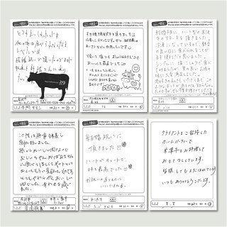 飛騨牛 牛肉 ヒレ ステーキ 100g×12枚 1,200g 1.2kg 6〜12人前 A5 A4 肉 ギフト 飛騨牛 和牛 国産 シャトーブリアン 焼肉 結婚祝い 出産祝い 内祝いの画像