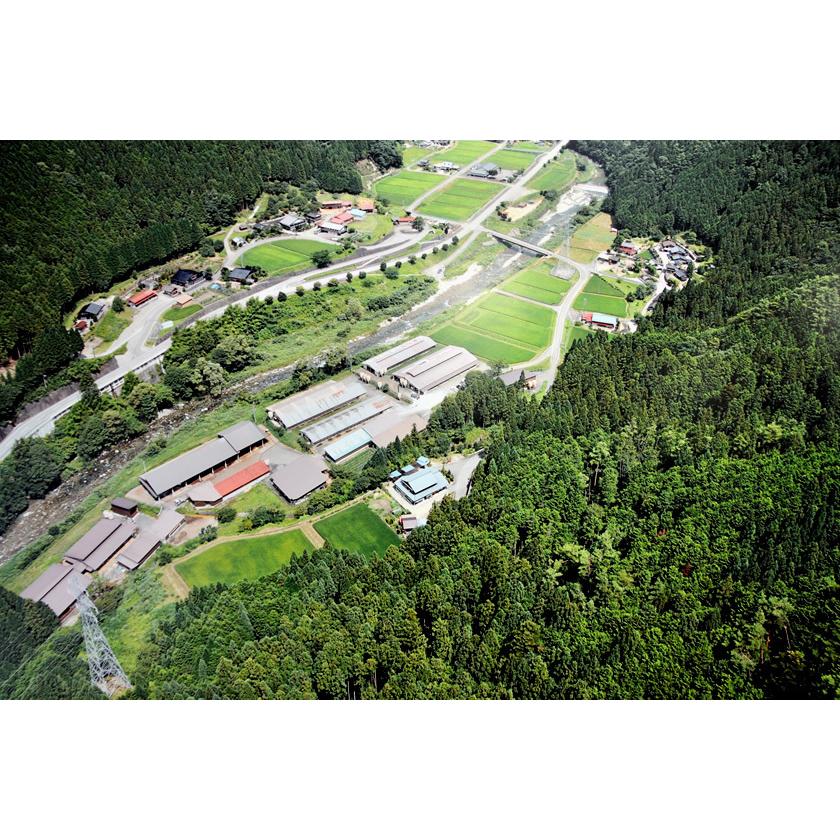 お値下げ 牛タン 国産 タン 焼肉 肉 1，080g 1.8kg 9〜13人前 牛たん 黒毛和牛 ギフト 牛肉 和牛 国産 厚切り スライス BBQ バーベキュー タン塩 タン中 タン元 【GM1149621876】(40214円)