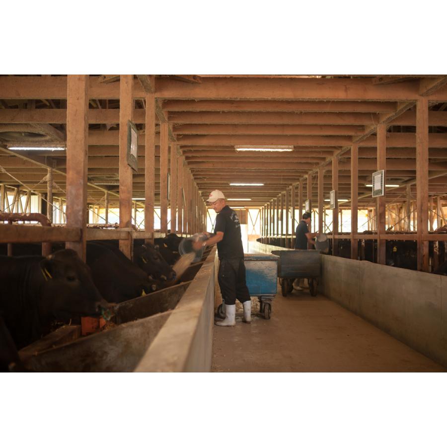 お値下げ 牛タン 国産 タン 焼肉 肉 1，080g 1.8kg 9〜13人前 牛たん 黒毛和牛 ギフト 牛肉 和牛 国産 厚切り スライス BBQ バーベキュー タン塩 タン中 タン元 【GM1149621876】(40214円)