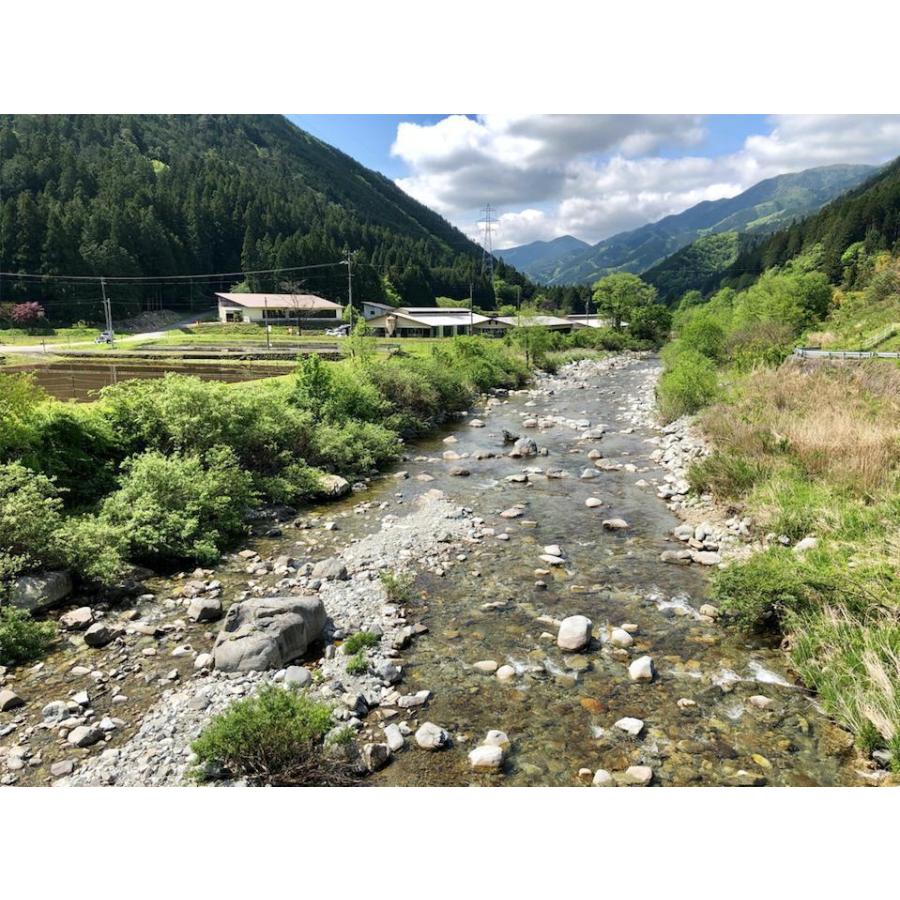 お値下げ 牛タン 国産 タン 焼肉 肉 1，080g 1.8kg 9〜13人前 牛たん 黒毛和牛 ギフト 牛肉 和牛 国産 厚切り スライス BBQ バーベキュー タン塩 タン中 タン元 【GM1149621876】(40214円)