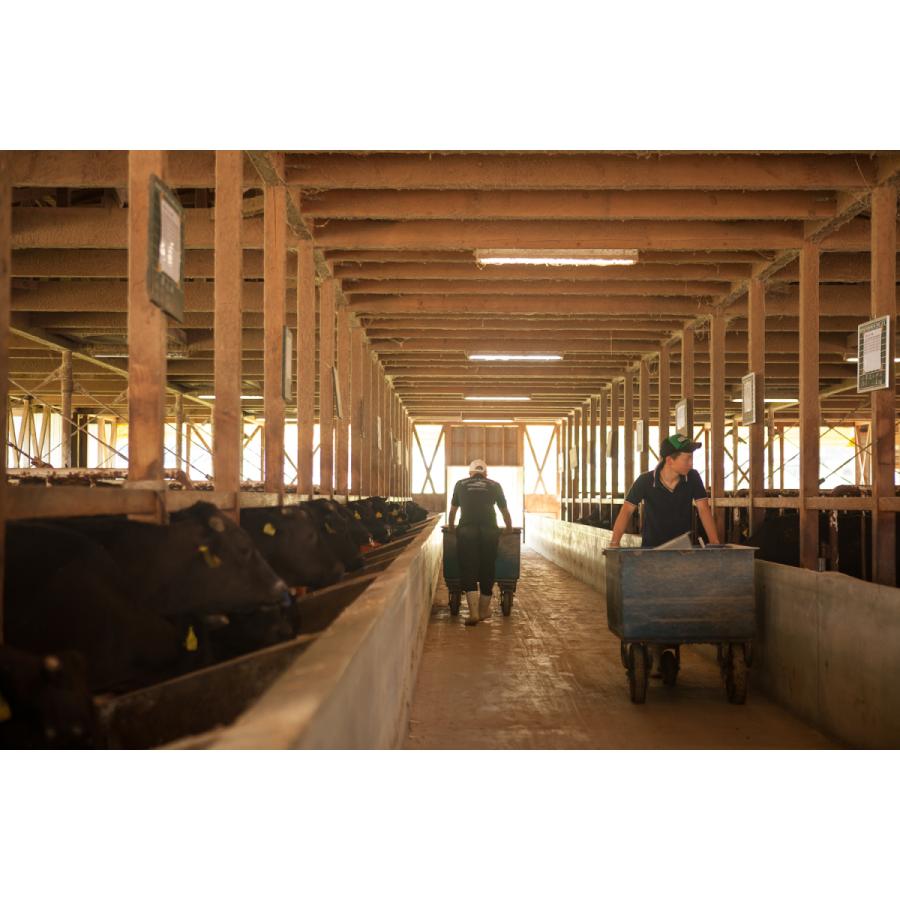 中古品 牛タン 国産 タン 焼肉 肉 1，080g 1.8kg 9〜13人前 牛たん 黒毛和牛 ギフト 牛肉 和牛 国産 厚切り スライス BBQ バーベキュー タン塩 タン中 タン元 【FKP1018976327】(35644円)