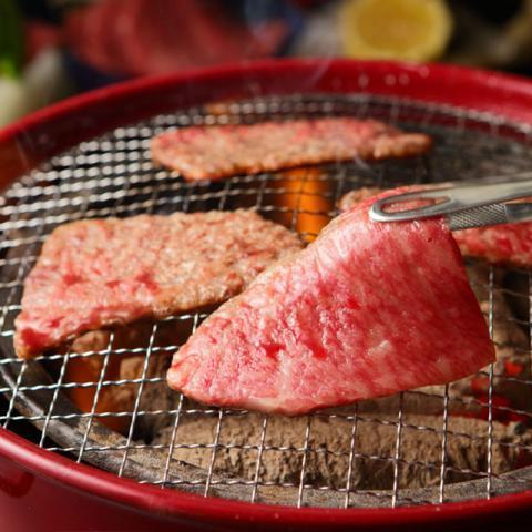 飛騨牛 肉 牛肉 ヒレ 焼肉 A5 A4 ギフト 飛騨牛 和牛 国産 赤身 焼き肉 焼肉用 贈り物 結婚祝い 出産祝い 内祝い お返し バーベキュー 1,700g 1.7kg 9〜12人前の画像