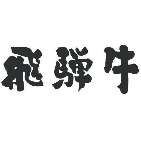 飛騨牛 味付け焼肉 ギフト 肉 牛肉 和牛 国産 A5 A4 結婚祝い 出産祝い 内祝い お祝い お返し 結婚 目録 景品 BBQ バーベキュー 2,000g 2kg 10〜14人前｜beliem｜10