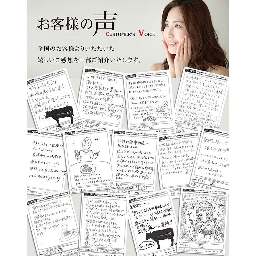 松阪牛 ギフト ヒレ ステーキ 100g×12枚 1,200g 6〜12人前 松阪牛 フィレ 牛肉 A5 A4 肉 和牛 国産 ヒレステーキ 黒毛和牛 希少部位 お取り寄せ 引越し祝いの画像