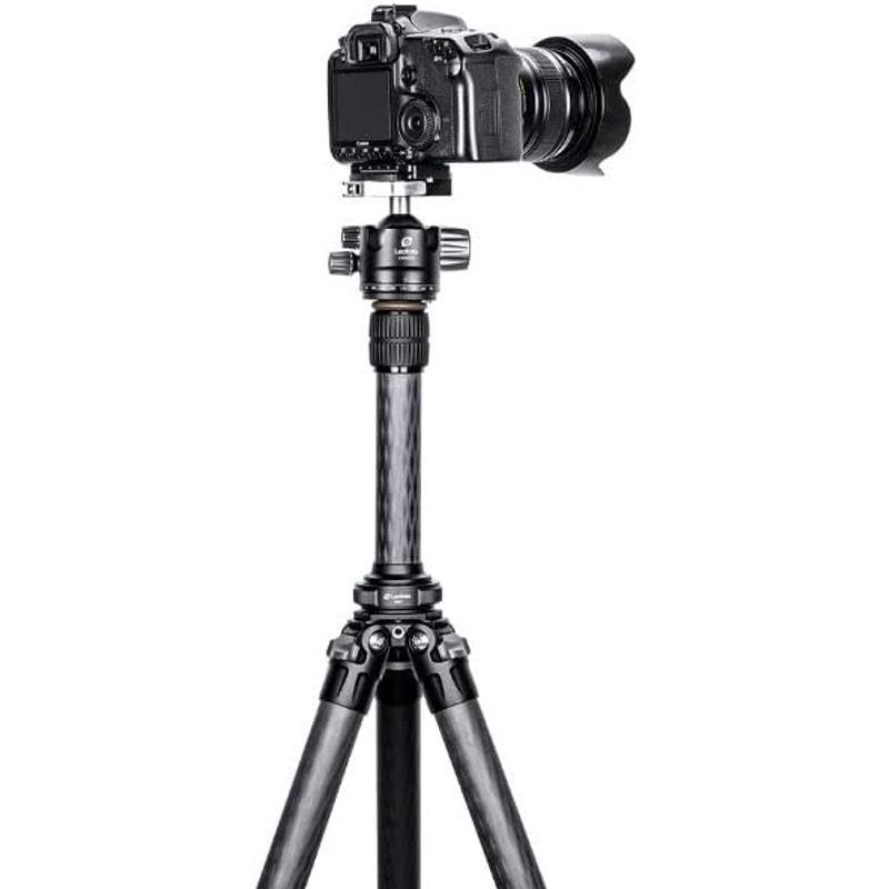 限​定​販​売​】【​限​定​販​売​】レオフォト QS-50 クイックリンクセット カメラアクセサリー 