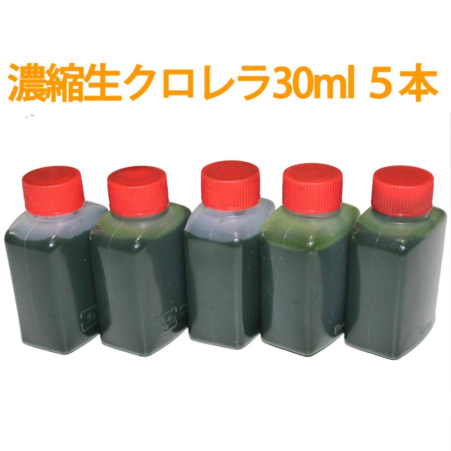 メール便発送可】濃縮生クロレラ原液 30ml 5本 (合計150ml) 生クロレラ水 グリーンウォーター :0010-kurorera150:メダカ学園 - 通販 - Yahoo!ショッピング メール便発送可】濃縮生クロレラ原液 30ml 5本 (合計150ml) 生クロレラ水 グリーンウォーター :0010-kurorera150:メダカ学園 - 通販 - Yahoo!ショッピング