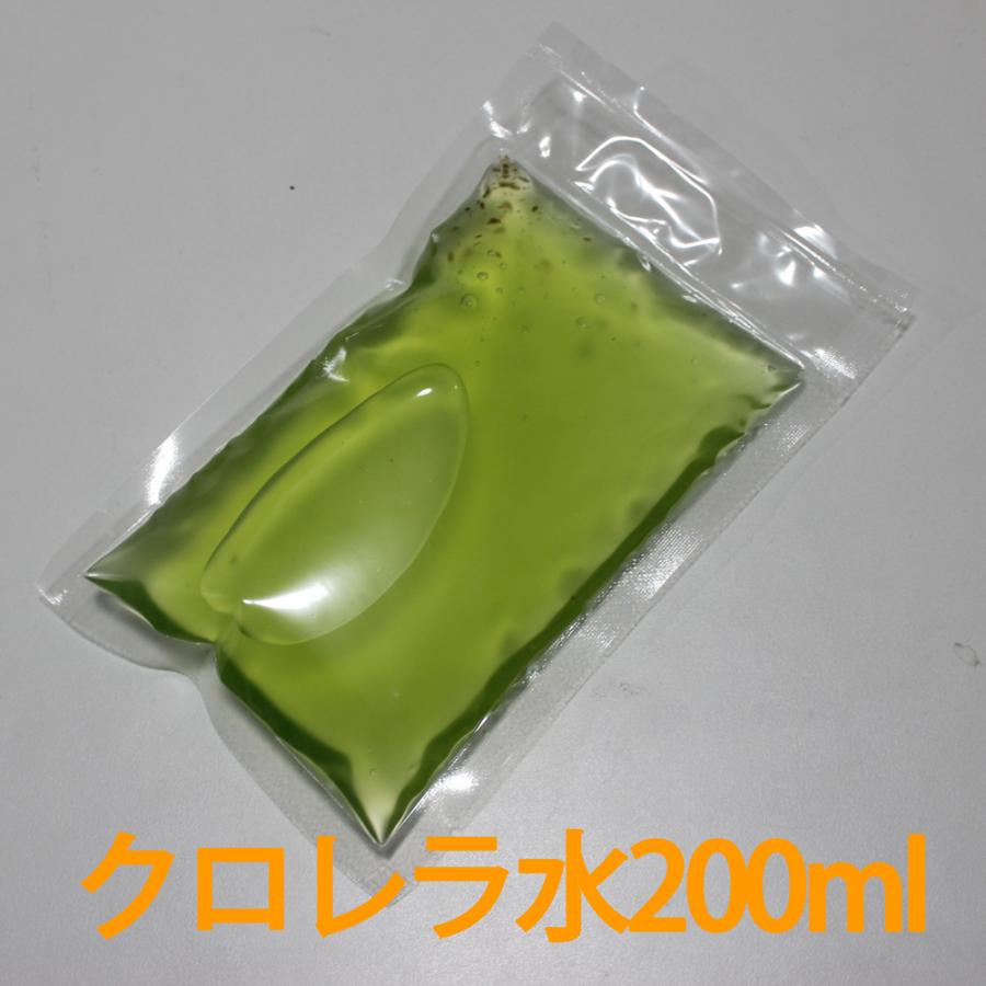 メール便発送可 オオミジンコ ダフニアマグナ 培養用 種ミジンコ 生体50 100匹程度 金魚 めだか 熱帯魚等の生餌 エサ 0010 Mijinnko11 メダカ学園 通販 Yahoo ショッピング