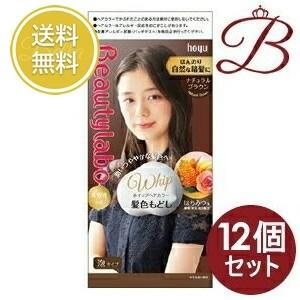 ホーユー ビューティラボ ホイップヘアカラー 髪色もどし ナチュラルブラウン