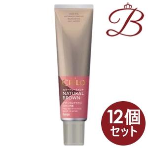 【単品12個セット】シエロ カラートリートメント リタッチ用 ナチュラルブラウン ホーユー(代引不可)【送料無料】 hoyu（ホーユー） 【×12個】ホーユー シエロ カラートリートメント
