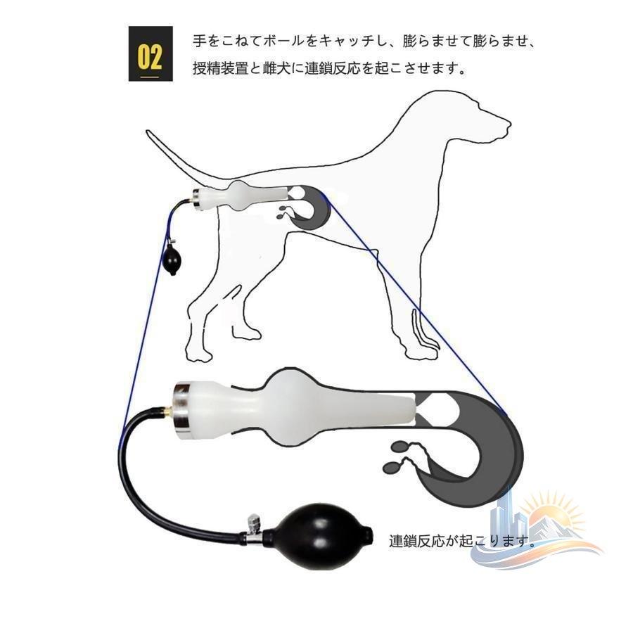 犬の人工授精キッ 犬の精子選び出す衣手 大型犬用かけ合わせ物の具 小型 中型 アドバンスト 室内 露天 愛玩動物装具 お取りつくろう飾り気の無い 好いたらしい 助けになる 使い分かりやすい 格好のいい