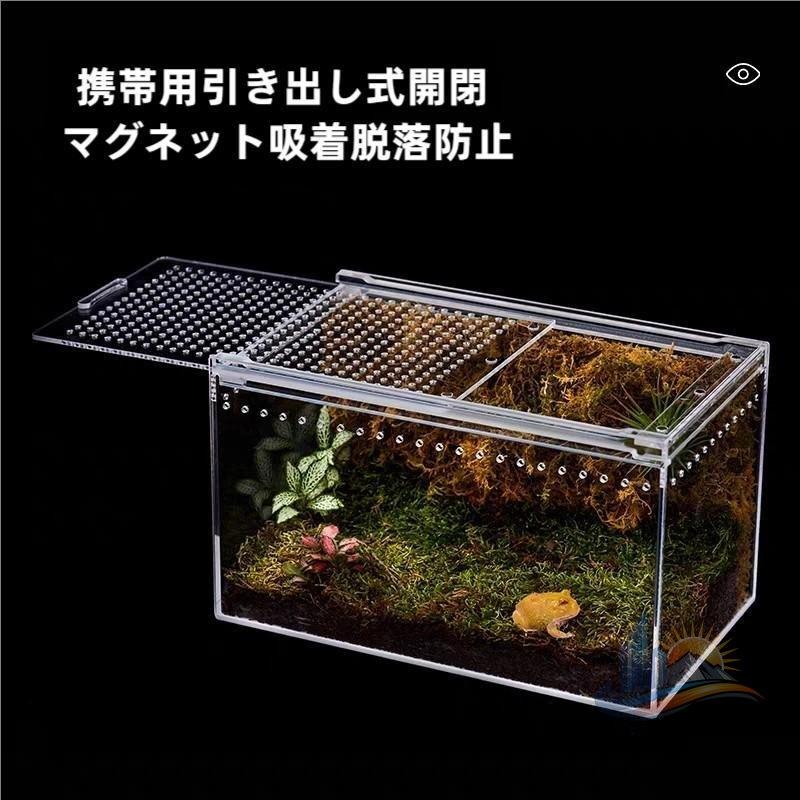 飼育ケース 昆虫飼育ケース 透明 アクリル 爬虫類 Mサイズ クモ サソリ
