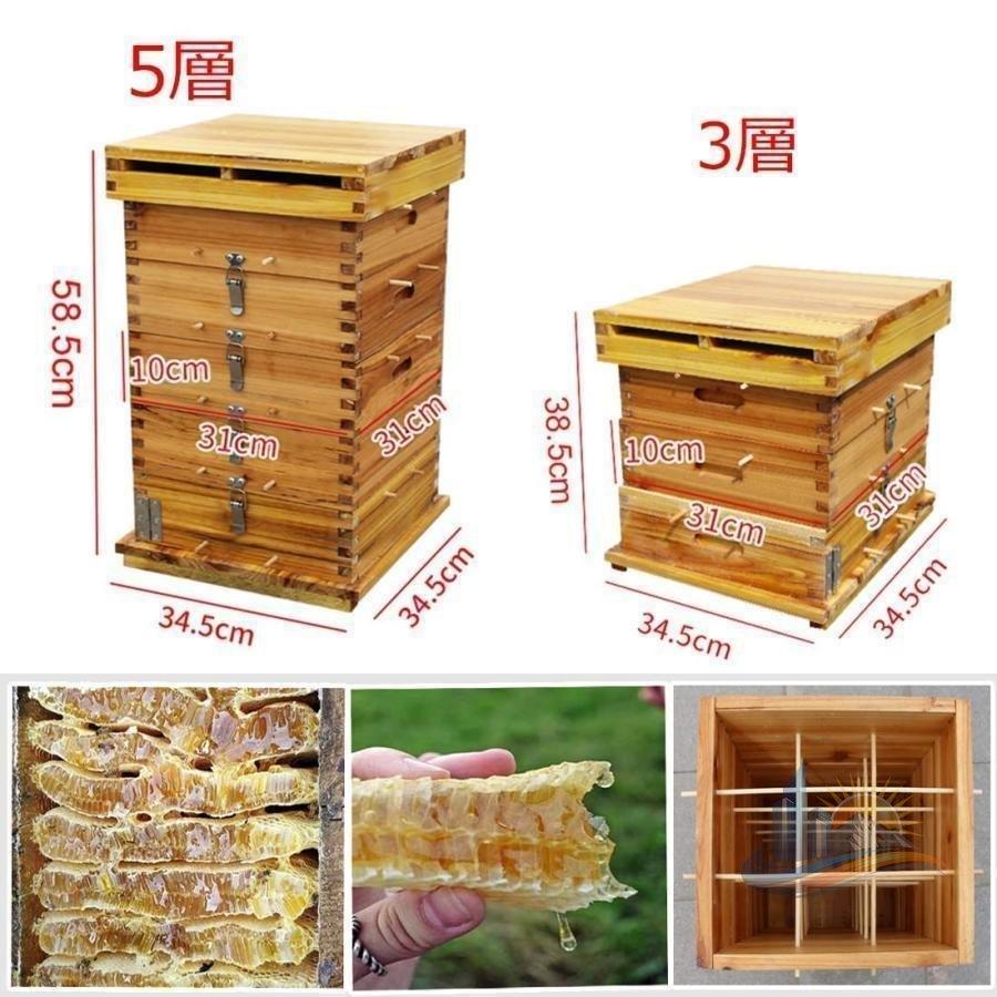 5階 蜜蜂巣箱 ミツバチ 重箱式 養蜂箱 杉材 蜂ハイブ 格子箱 煮蝋 蜜蜂
