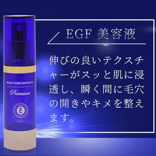 HIGH CONCENTRATE 【並行輸入品】ハイコンセントレート プレミアム EGF