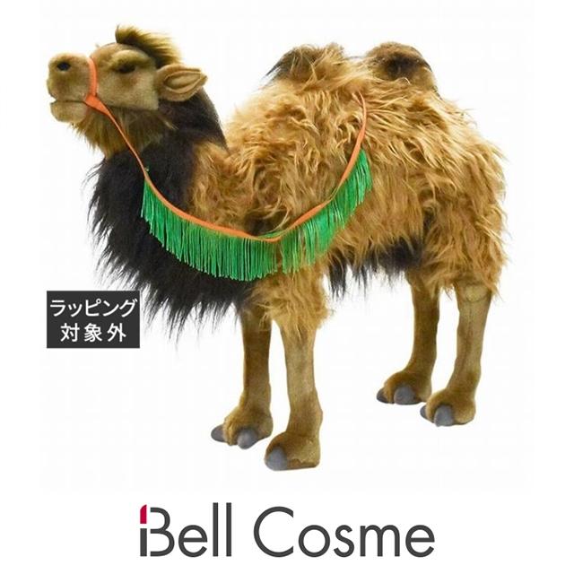 ハンサ ラクダ ハンサ ラクダ 【公式通販】