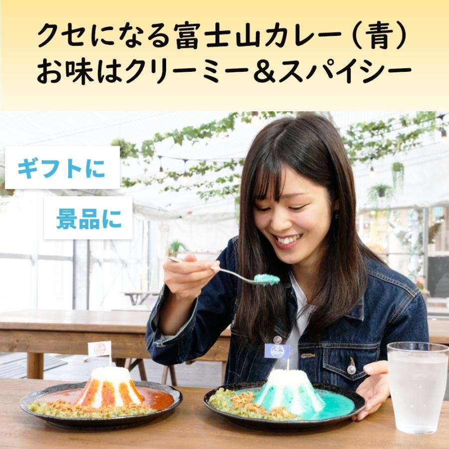 レトルトカレー 青い富士山カレー 2個 セット 200g お土産 富士山