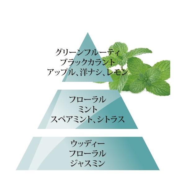 【安心のランプベルジェ 公認特約店】商品名：ミント 1L（ランプベルジェ メゾンベルジェ オイル） |  | 01