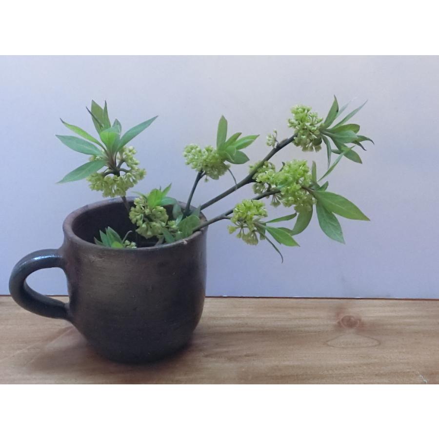 クロモジ茶（クロモジ葉・枝）国産100% 1.8g×8P タグ付きパック