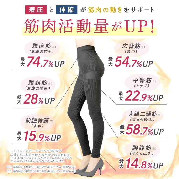 ベルミス Lサイズ 3個セット BELLE SERIES 【XXXL新登場】 着圧レギンス 大きいサイズ 着圧