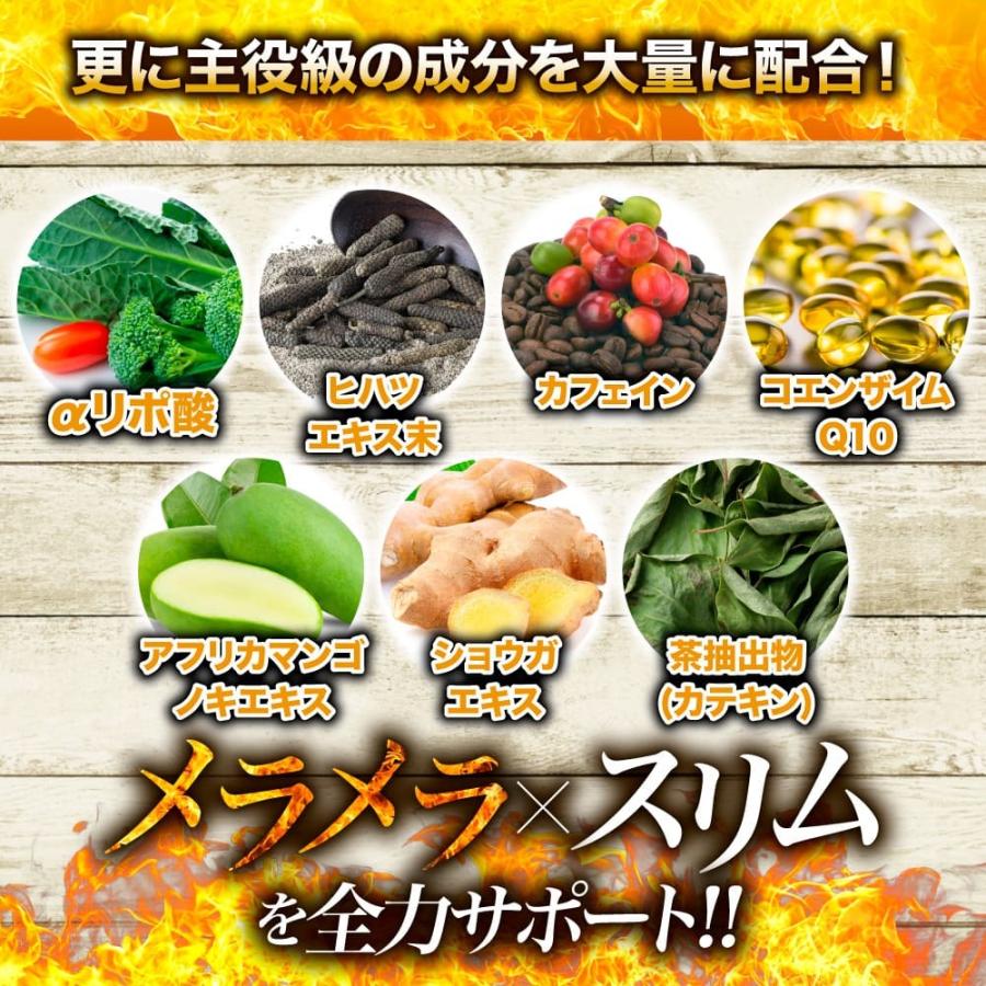 Belle ダイエット サプリメント L-カルニチン 燃焼革命 ブラック