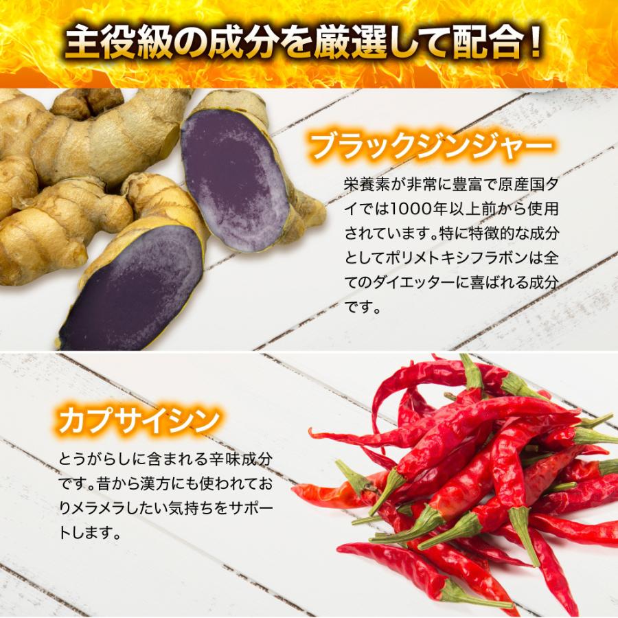 Belle（サプリ） ダイエット サプリメント 燃焼系 燃焼革命