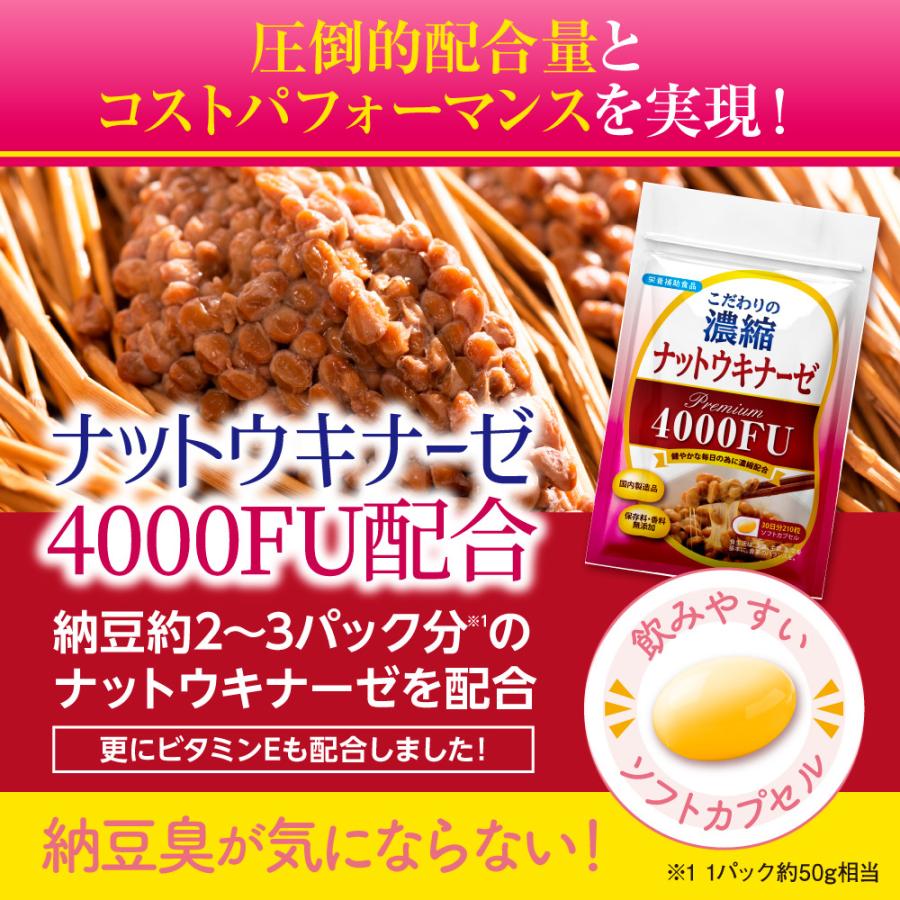 Belle ナットウキナーゼ サプリメント 納豆キナーゼ 4000FU こだわりの