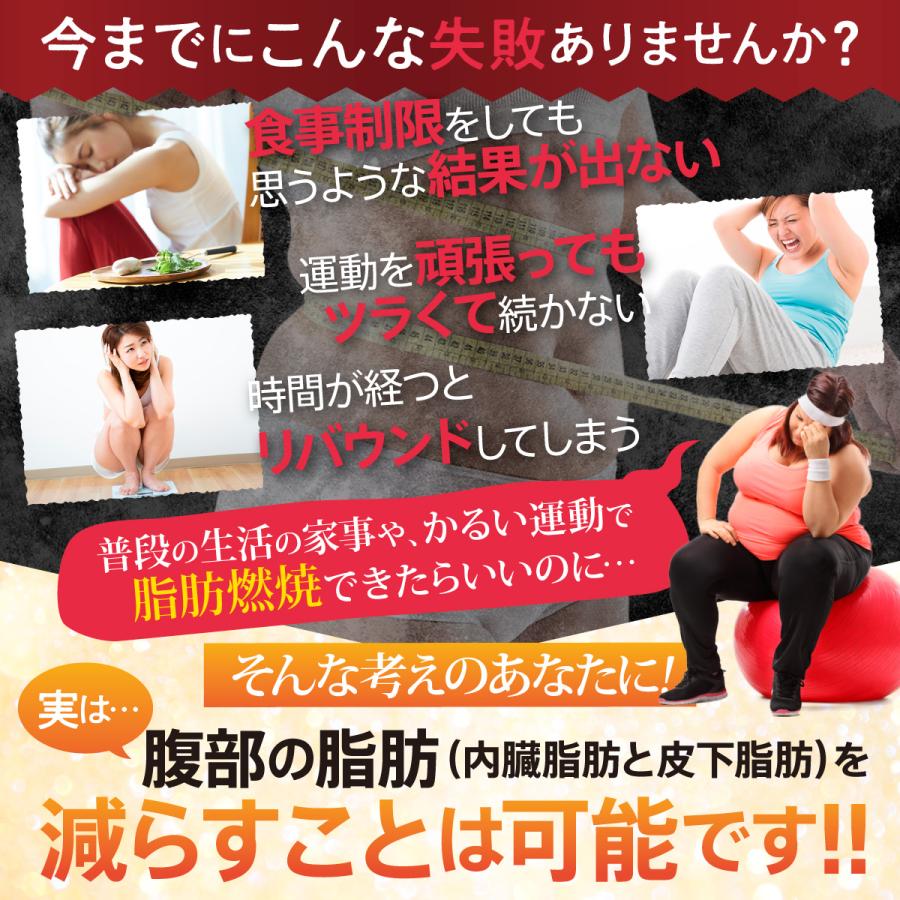 ダイエット サプリメント 機能性表示食品 サプリ 燃焼革命 Premium ブラックジンジャー 燃焼 カプサイシン 3袋セット