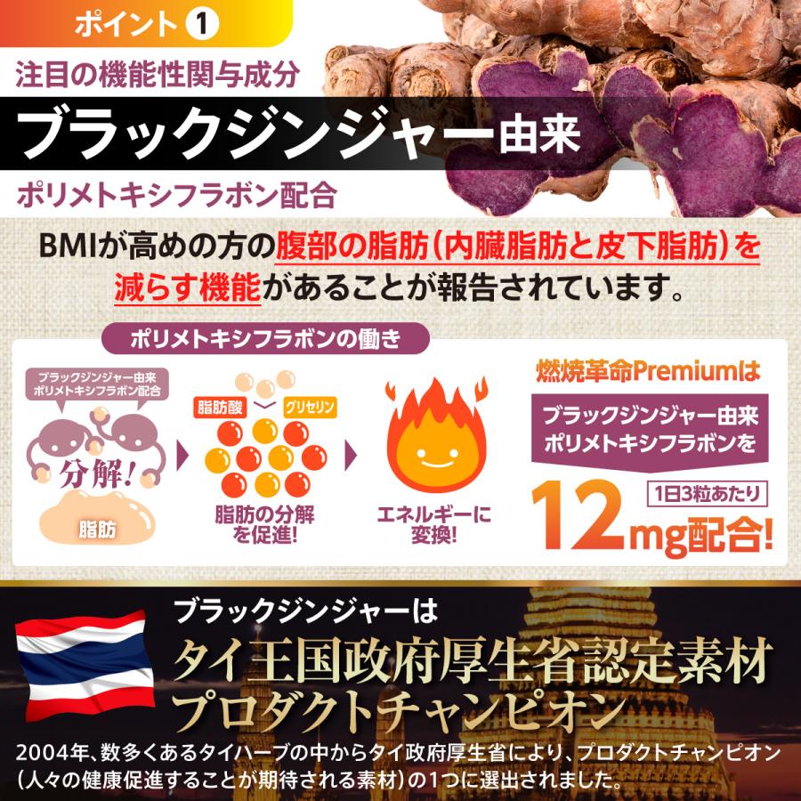 ダイエット サプリメント 機能性表示食品 サプリ 燃焼革命 Premium ブラックジンジャー 燃焼 カプサイシン 3袋｜belle-shop｜04
