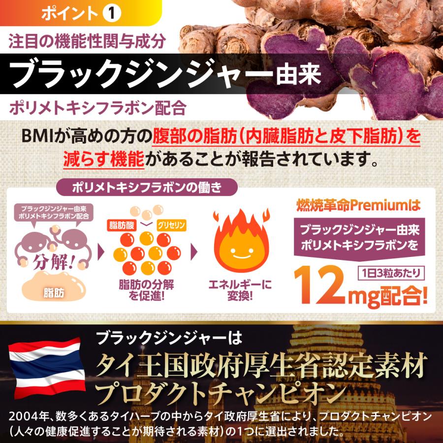 ダイエット サプリメント 機能性表示食品 サプリ 燃焼革命 Premium ブラックジンジャー 燃焼 カプサイシン 3袋セット