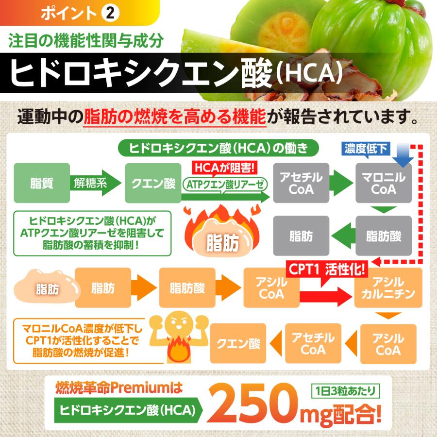 Belle ダイエット サプリメント 機能性表示食品 サプリ 燃焼革命