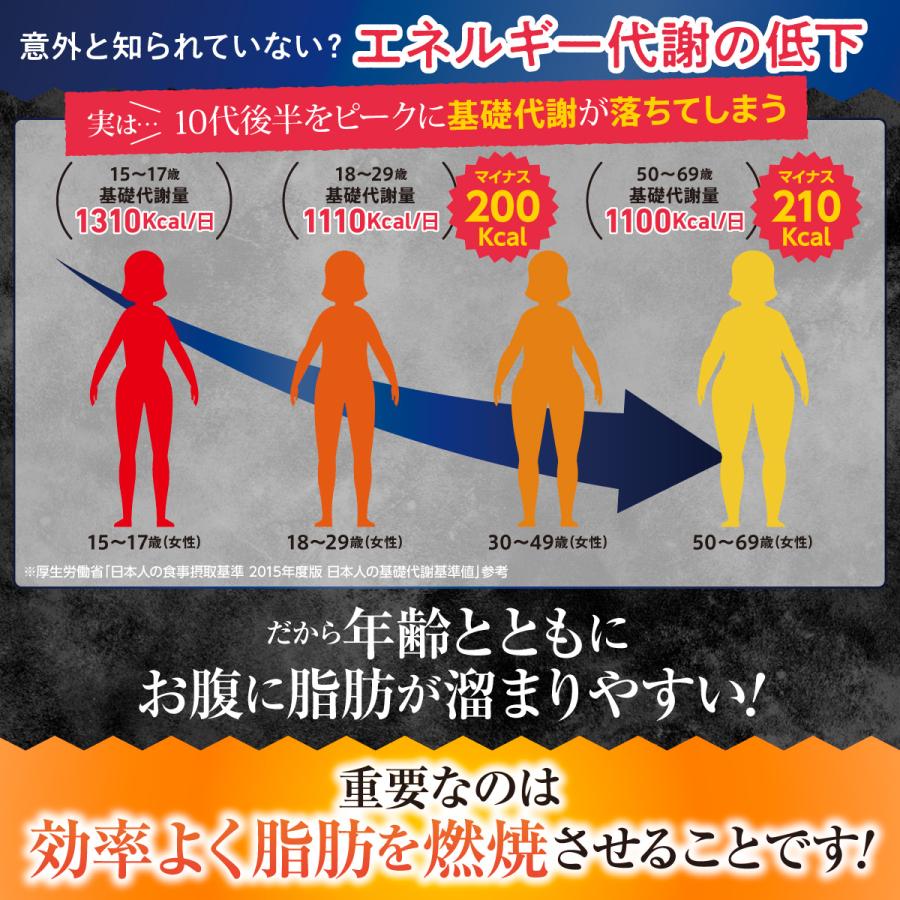 ダイエット サプリメント 機能性表示食品 サプリ 燃焼革命 Premium ブラックジンジャー 燃焼 カプサイシン 3袋セット