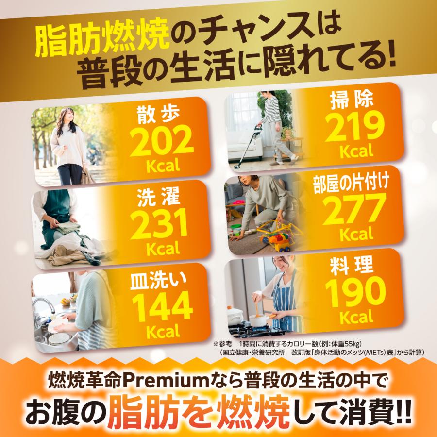 Belle ダイエット サプリメント 機能性表示食品 サプリ 燃焼革命