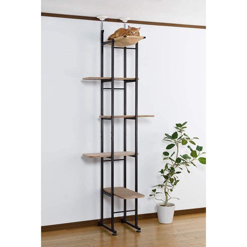 ボンビアルコン (Bonbi) キャットベース Bonbi キャットベース