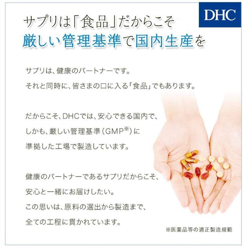 ☆送料込み☆DHC ラクトフェリン 30日分 2袋